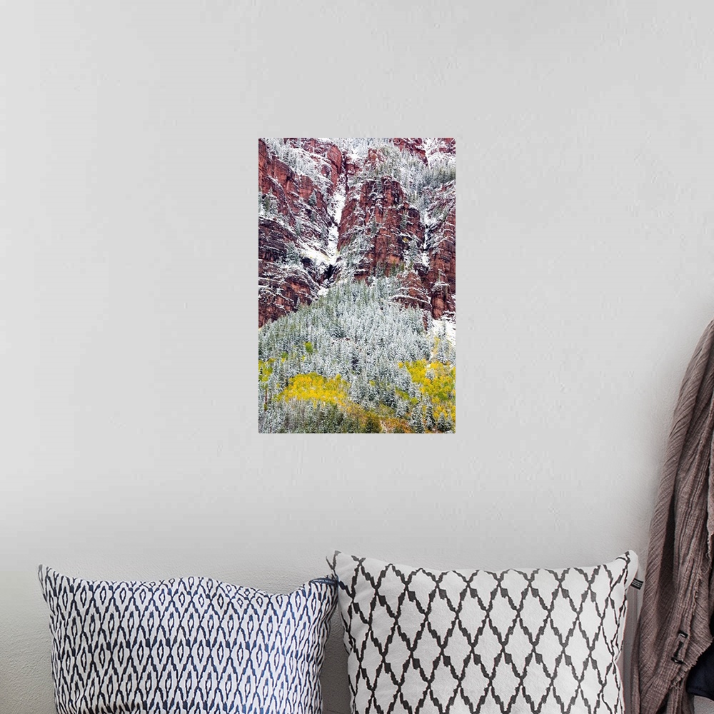 A bohemian room featuring North America,USA, Colorado,First Snow over the Red Cliffs and Aspens of Redstone Colorado