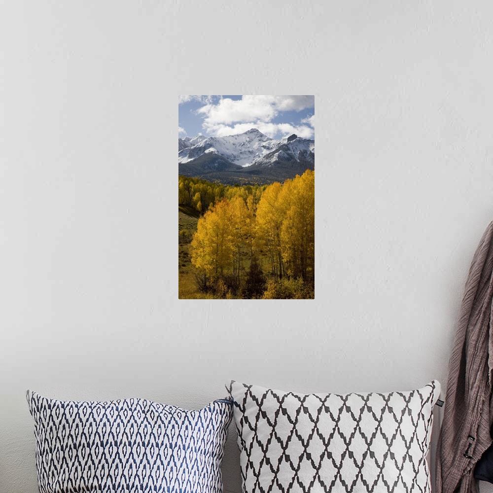 A bohemian room featuring USA, Colorado, San Juan Mountains, Uncompahgre National Forest. Fresh snow on North Pole Peak aft...
