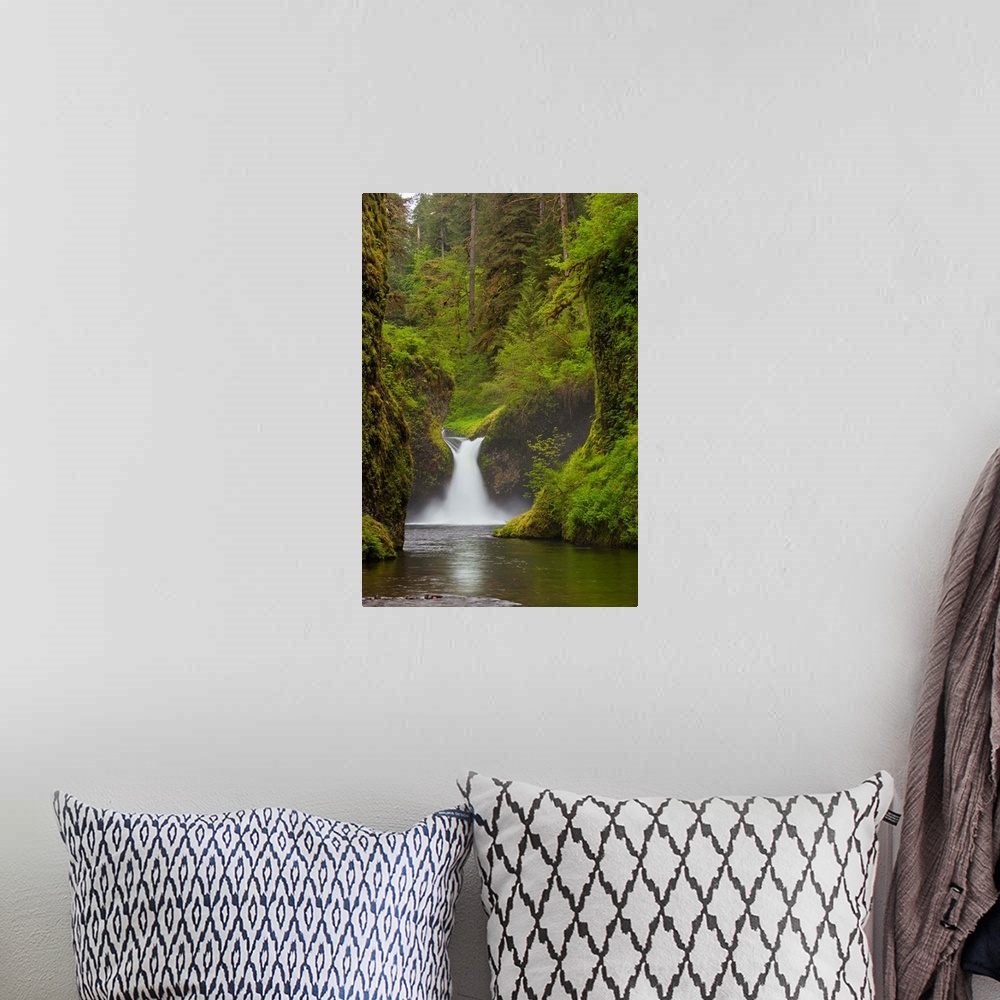 A bohemian room featuring USA, Eagle Creek, Columbia Gorge, Oregon. Punchbowl Falls on Eagle Creek.
