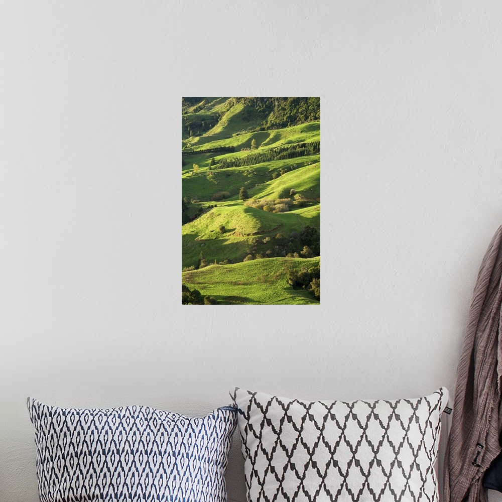 A bohemian room featuring Farmland near Te Kuiti, King Country, North Island, New Zealand