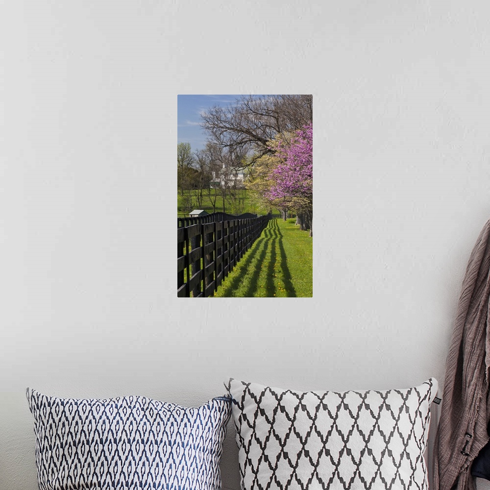A bohemian room featuring Fence and dogwood and redbud trees in early spring, Lexington, Kentucky