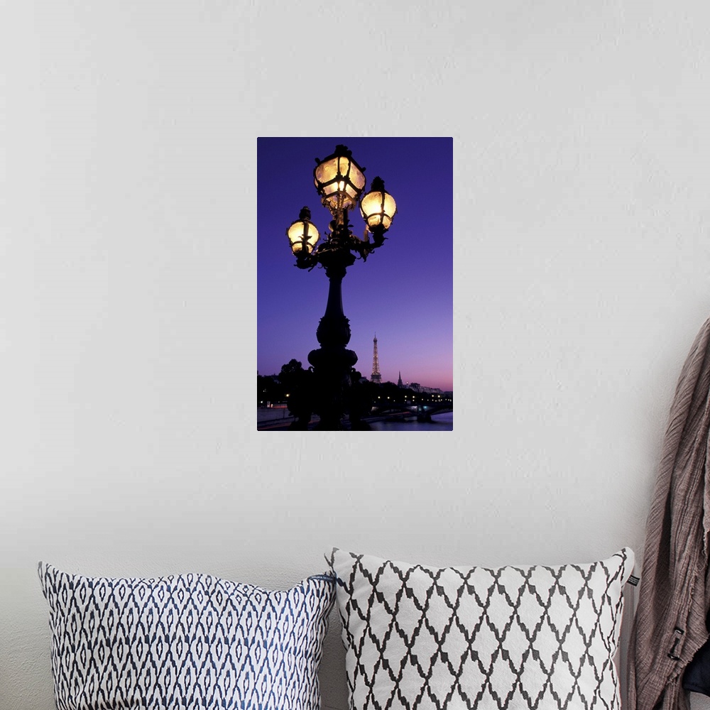 A bohemian room featuring France, Paris, Streetlamp, Pont Alexandre III, Eiffel Tower In Background