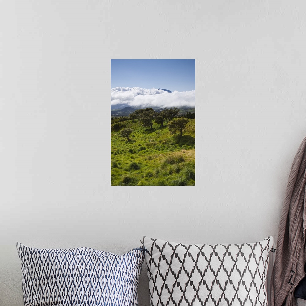 A bohemian room featuring France, Reunion Island, Bourg Murat, Plaine-des-Cafres, landscape on the RF5 towards the Piton de...