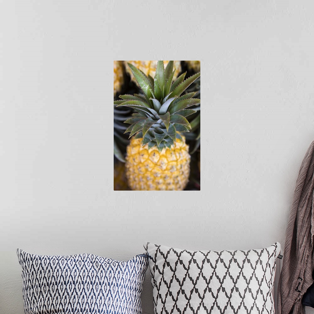 A bohemian room featuring France, Reunion Island, St. Paul, Seafront Market, Pineapples