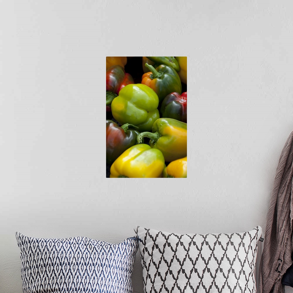 A bohemian room featuring Germany, Passau, Open-air farmer's market, Colorful sweet bell peppers