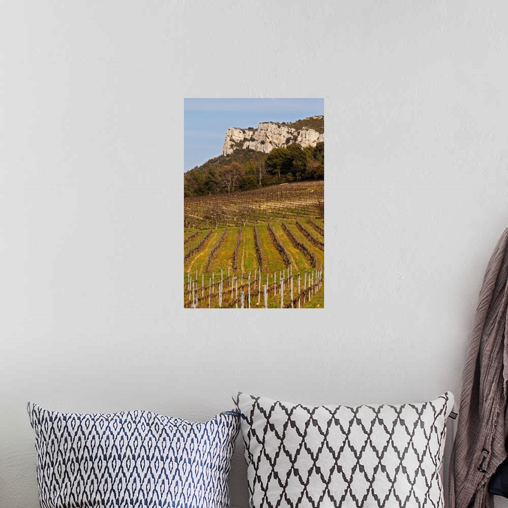 A bohemian room featuring Graphic pattern vineyard and mountain cliff  Ch..teau Barbanau and Clos Val-Bruyere Cassis Cote d...