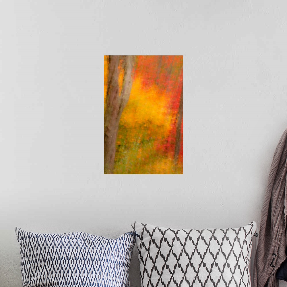 A bohemian room featuring USA, New York, Inlet. Abstract of autumn forest scene.