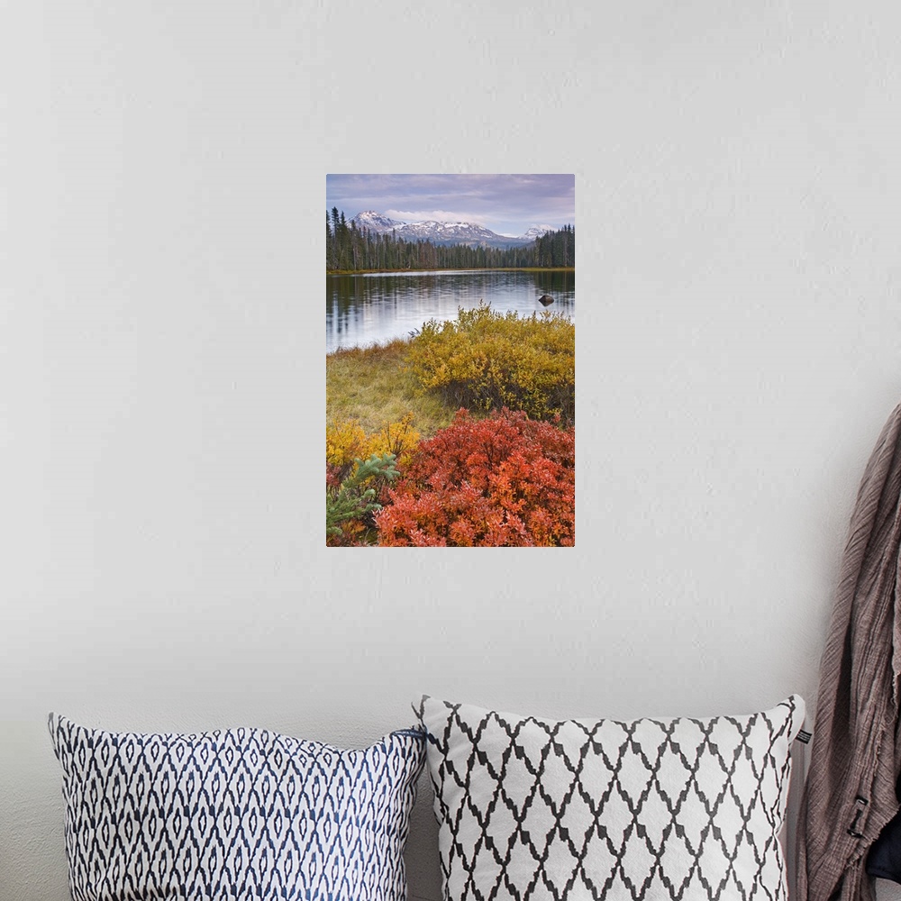A bohemian room featuring USA, Oregon, Willamette National Forest. Scott Lake and Three Sisters Mountain.