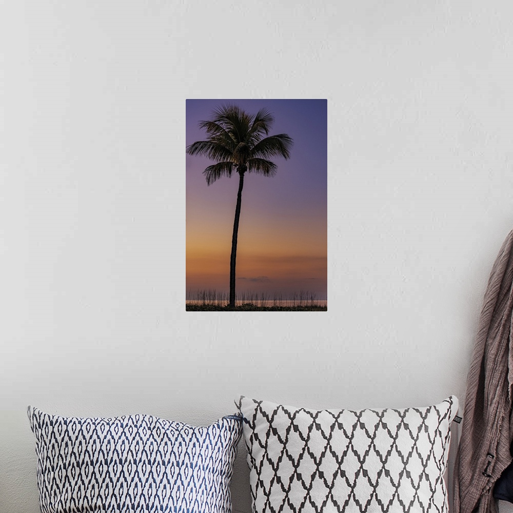 A bohemian room featuring Palm tree silhouetted against the sunrise on Sanibel Island, Florida, USA.