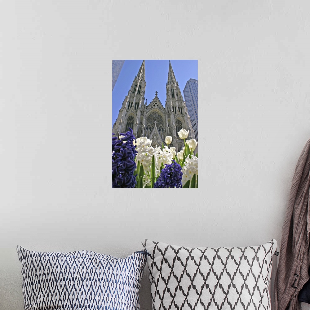 A bohemian room featuring Purple and white hyacinths St. Patrick's Cathedral New York City