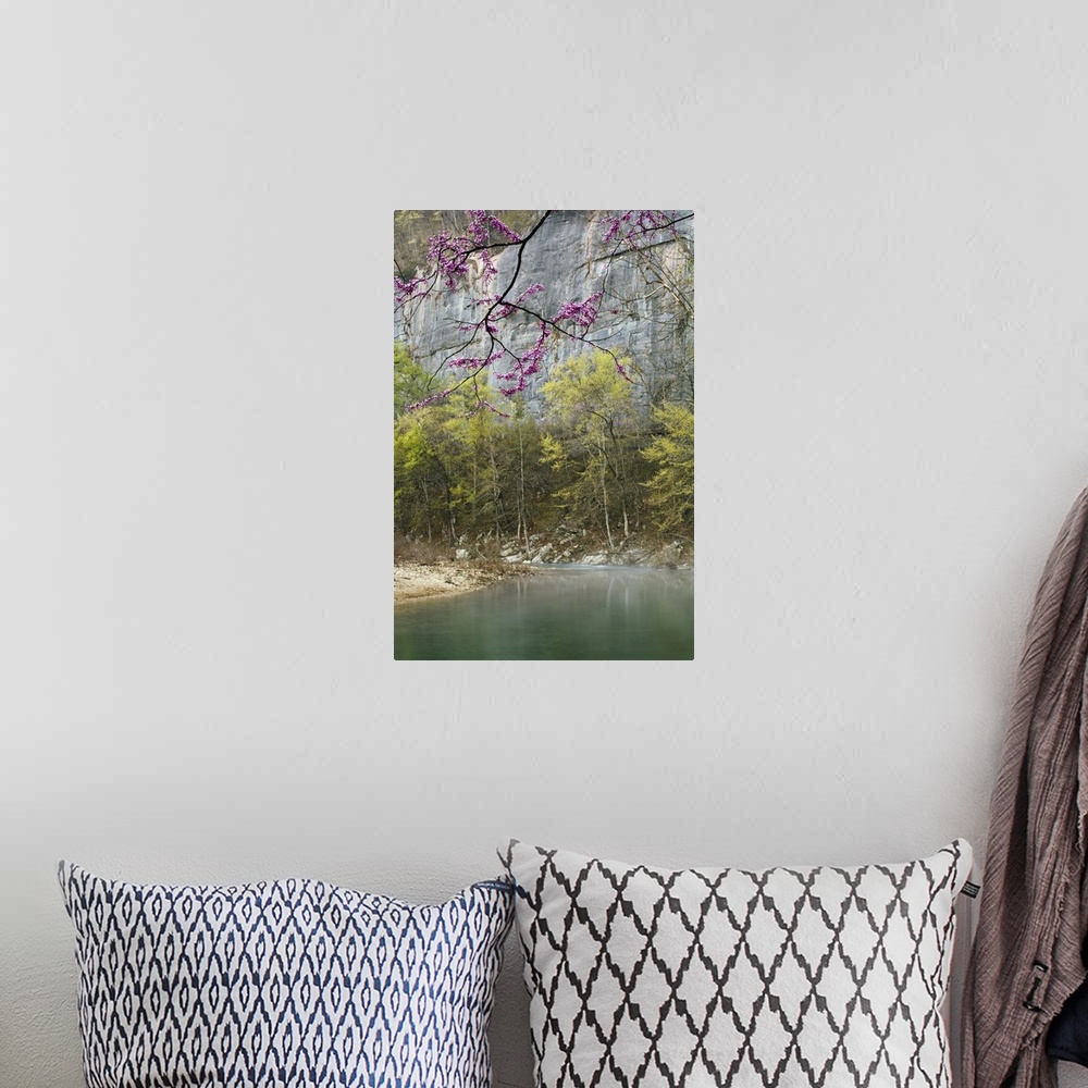 A bohemian room featuring Red Bud trees along the Buffalo River, Steel Creek launch, Old River Trail, Buffalo National Rive...