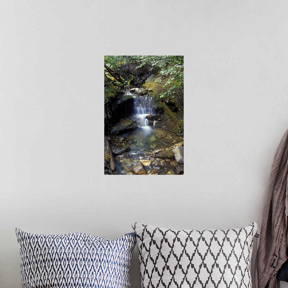 A bohemian room featuring Small waterfall along creek in Jasper National Park, Canada.