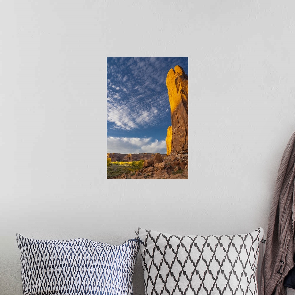 A bohemian room featuring USA, Utah. Cliffs, clouds, and autumn cottonwoods at sunset, Arches National Park.