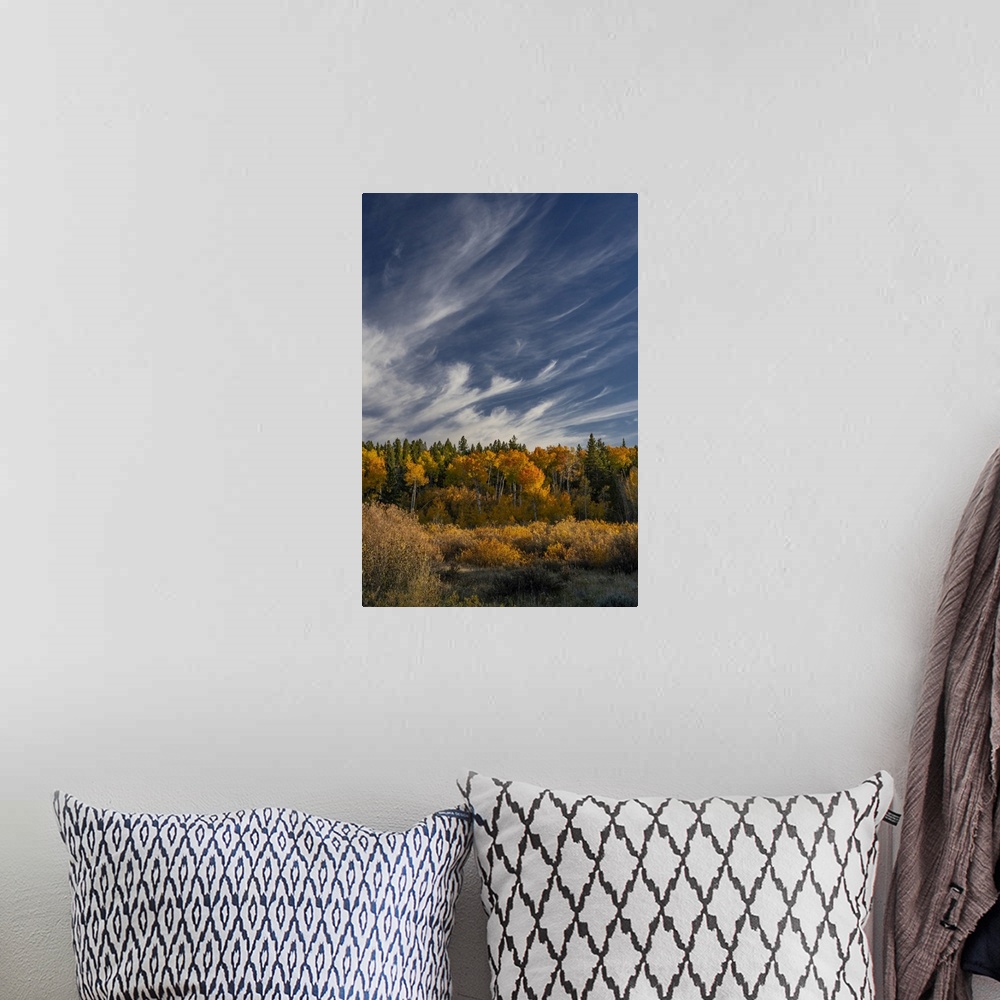 A bohemian room featuring USA, Wyoming. Autumn afternoon clouds, Grand Teton National Park.