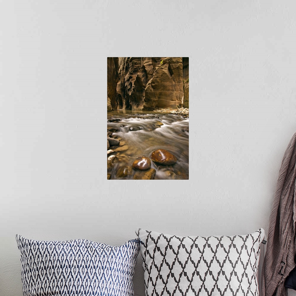 A bohemian room featuring Utah, Zion National Park, a scene along the Virgin River Narrows.
