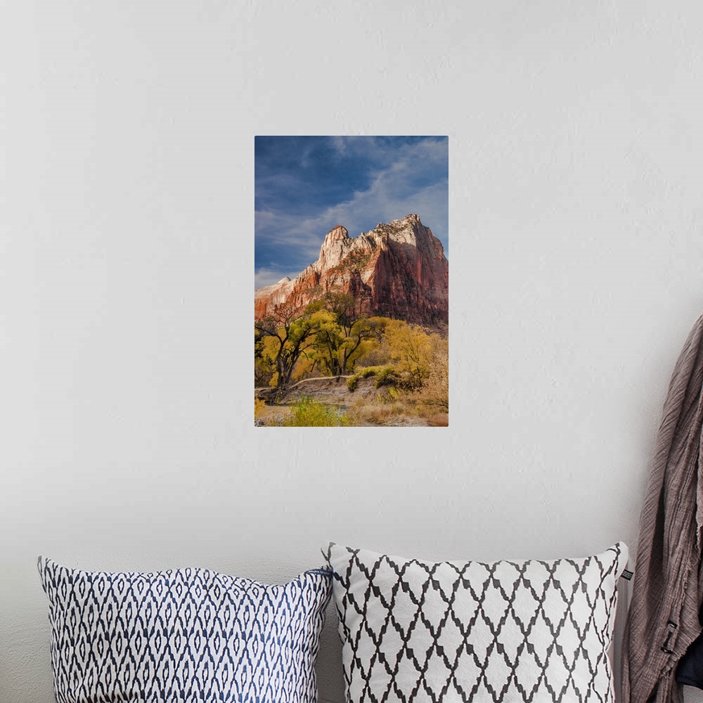 A bohemian room featuring North America, USA, Utah, Zion National Park.  Autumn foliage in front of the Sentinel in  Zion N...