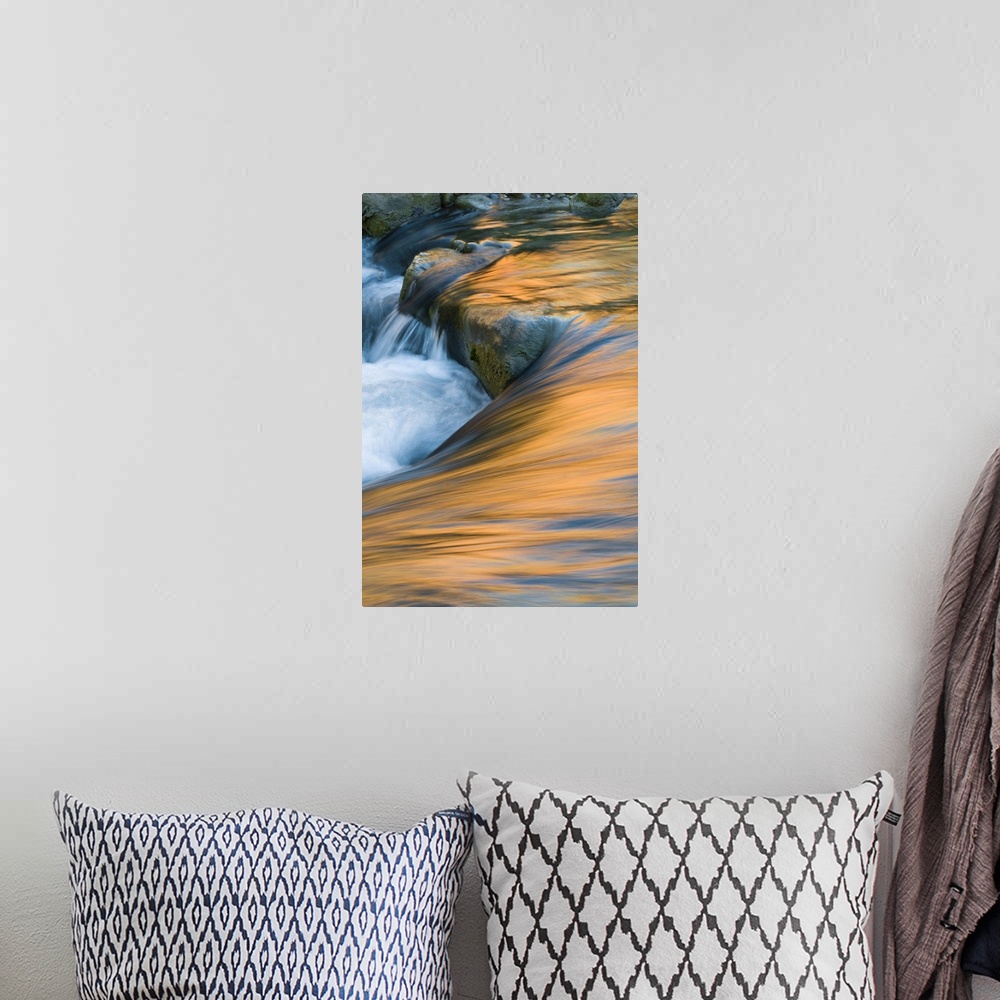 A bohemian room featuring USA, Utah, Zion National Park. Canyon and sky reflections on Virgin River turbulence.