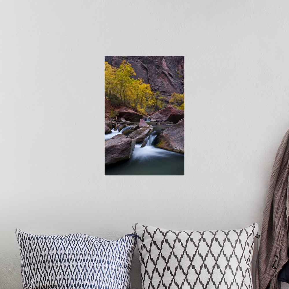 A bohemian room featuring USA, Utah, Zion National Park. Waterfall with cottonwood trees along Riverside Walk.