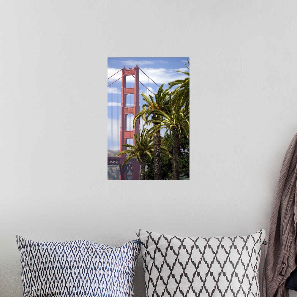 A bohemian room featuring View of the Golden Gate Bridge with Palm trees from the Presidio in San Francisco.