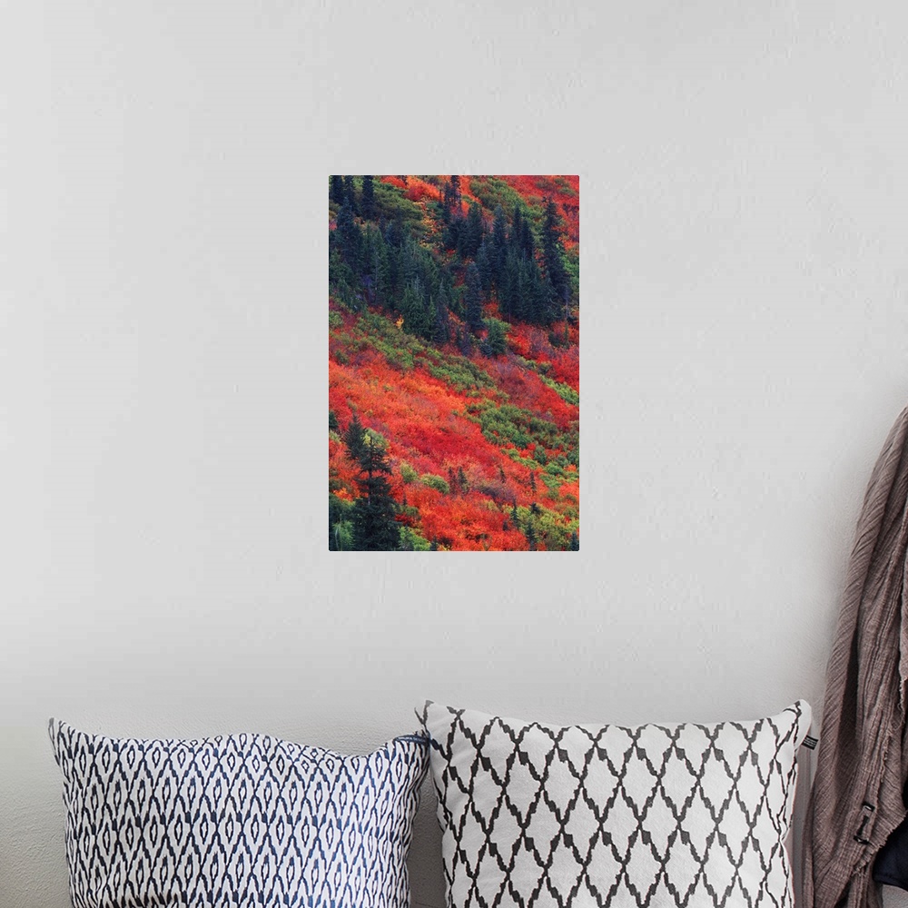 A bohemian room featuring Washington, Wenatchee National Forest, Steven's Pass, Autumn Color.