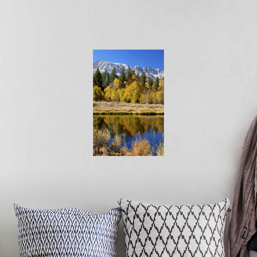 A bohemian room featuring Yosemite's Mount Dana as seen from Lee Vining Canyon in the Sierras.