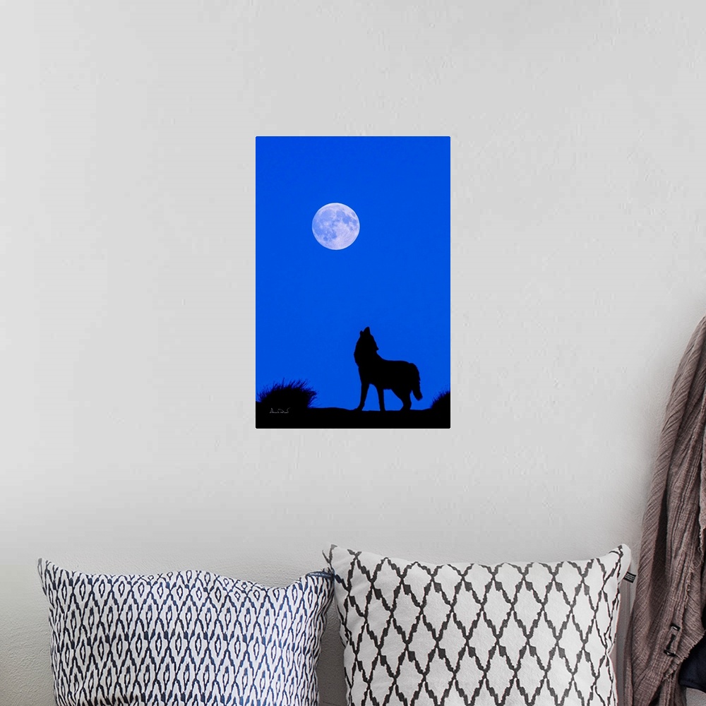 A bohemian room featuring Composite of a captive grey wolf howling at the moon. Original moon in the photo replaced with de...