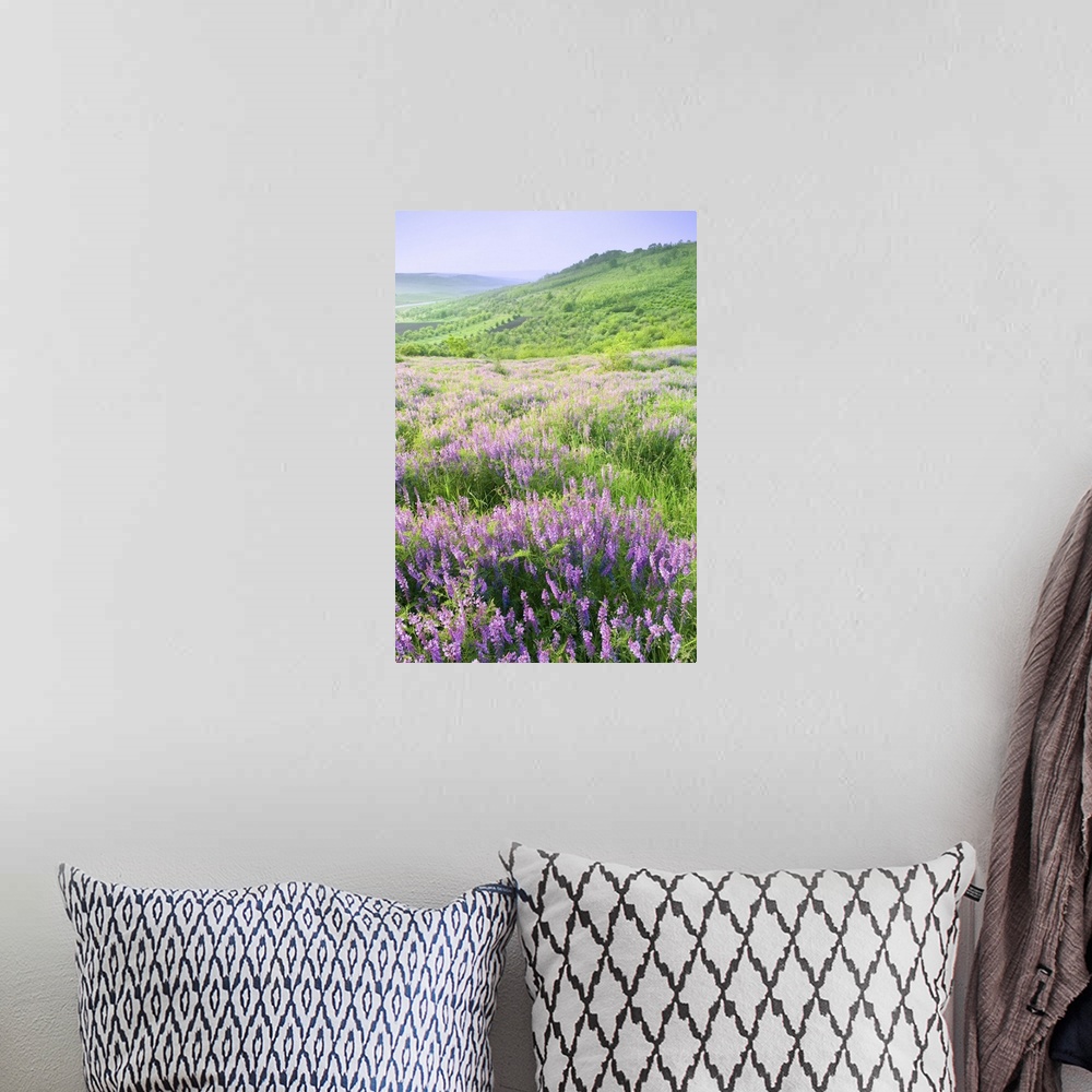 A bohemian room featuring Beautiful rural landscape with violet flowers.
