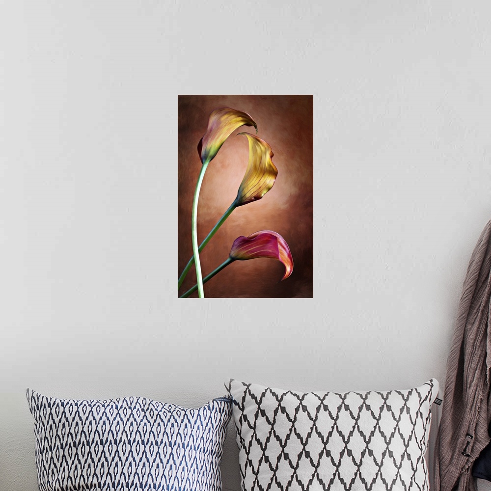 A bohemian room featuring Zantedeschia aethiopica, painted Calla lily flower in front of red bachground.