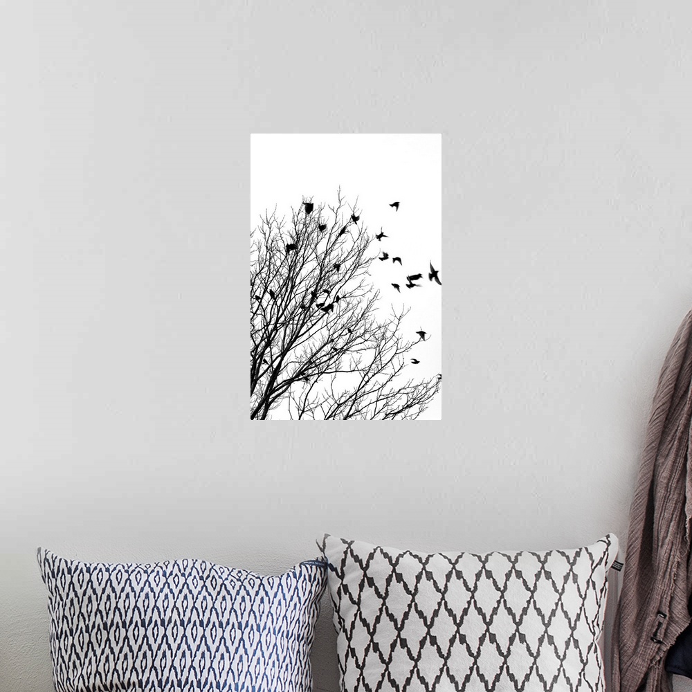 A bohemian room featuring Black and white image of birds flying off a tree.