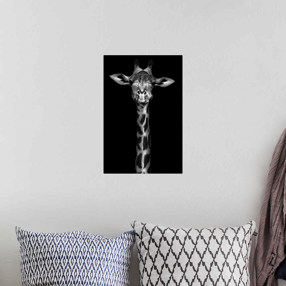 A bohemian room featuring Creative black and white image of a Thorneycroft giraffe.