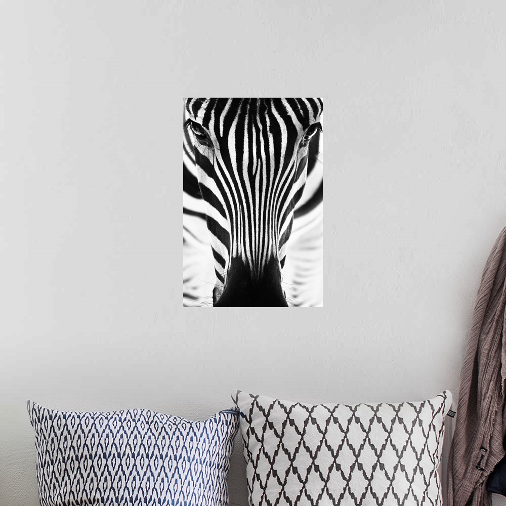 A bohemian room featuring Portrait Of A Zebra In Black And White