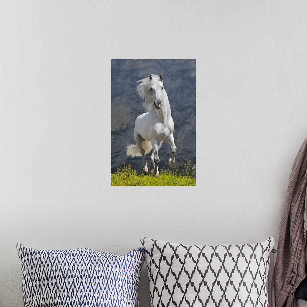 A bohemian room featuring White Horse Galloping