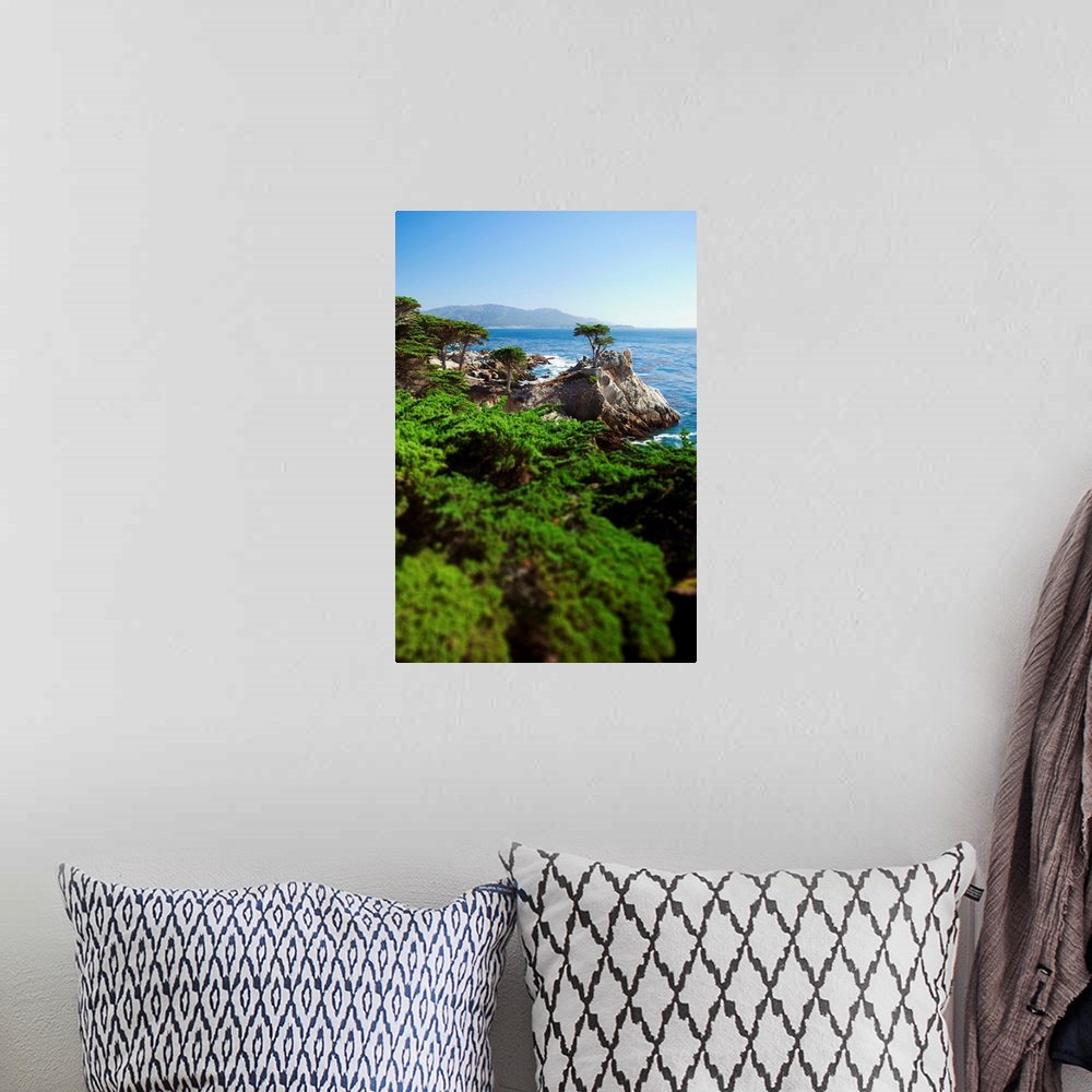 A bohemian room featuring California, silhouette of the famous Lone Cypress Tree on the Big Sur coast