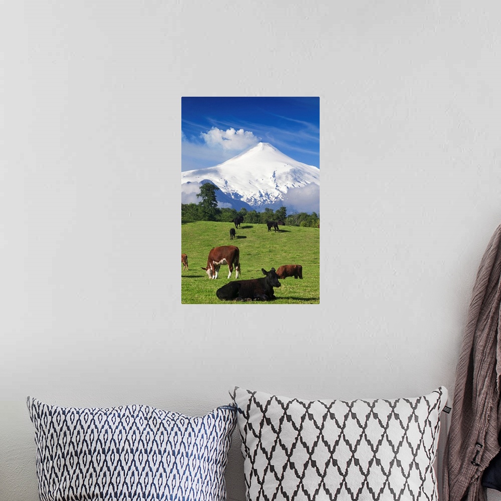 A bohemian room featuring Chile, Araucania, Patagonia, Andes, Pucon, View of Villarrica volcan