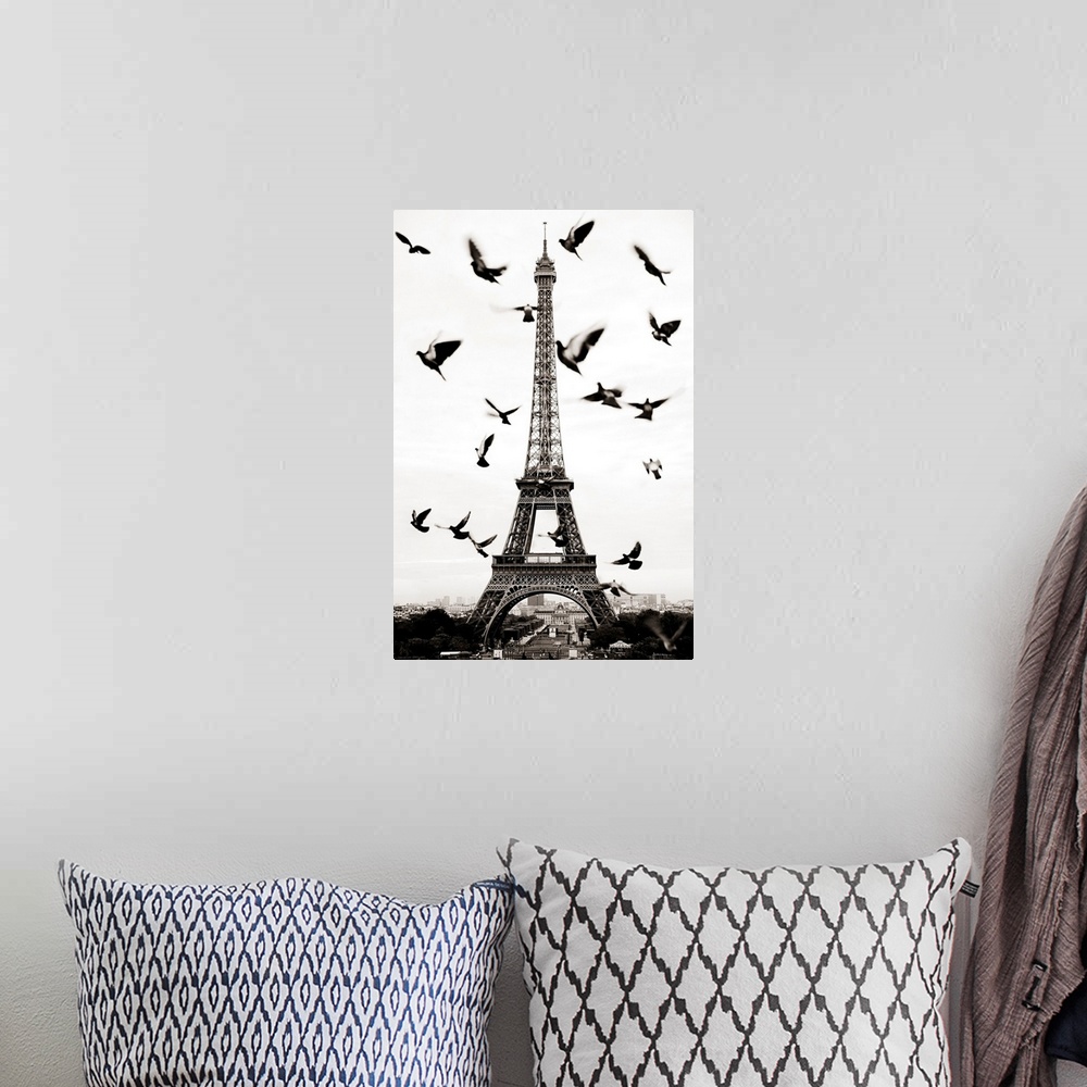 A bohemian room featuring France, Paris, Birds in front of the Eiffel Tower.