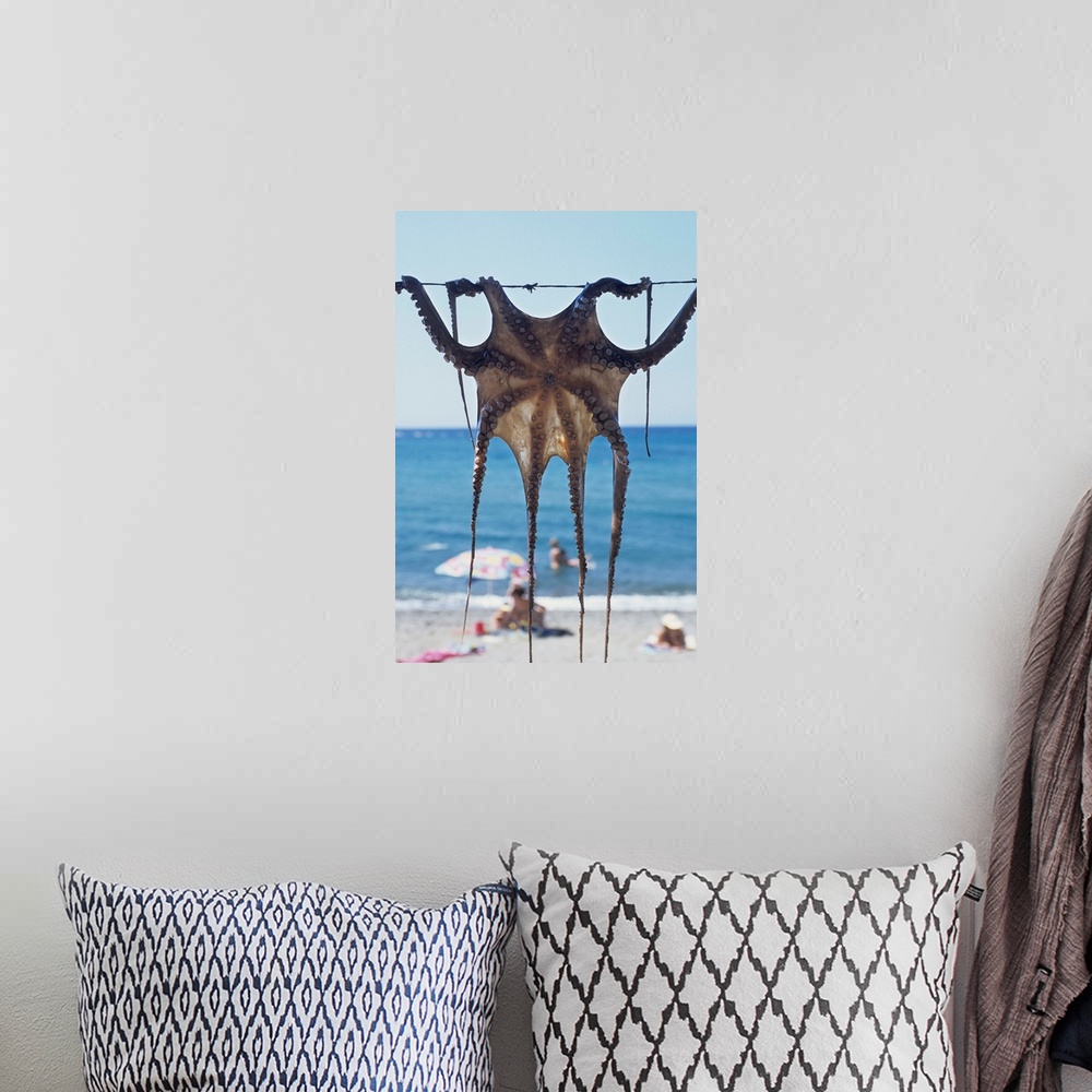 A bohemian room featuring Greece, Aegean Islands, Lesbos, Skala Eressos beach, octopus drying at the sun