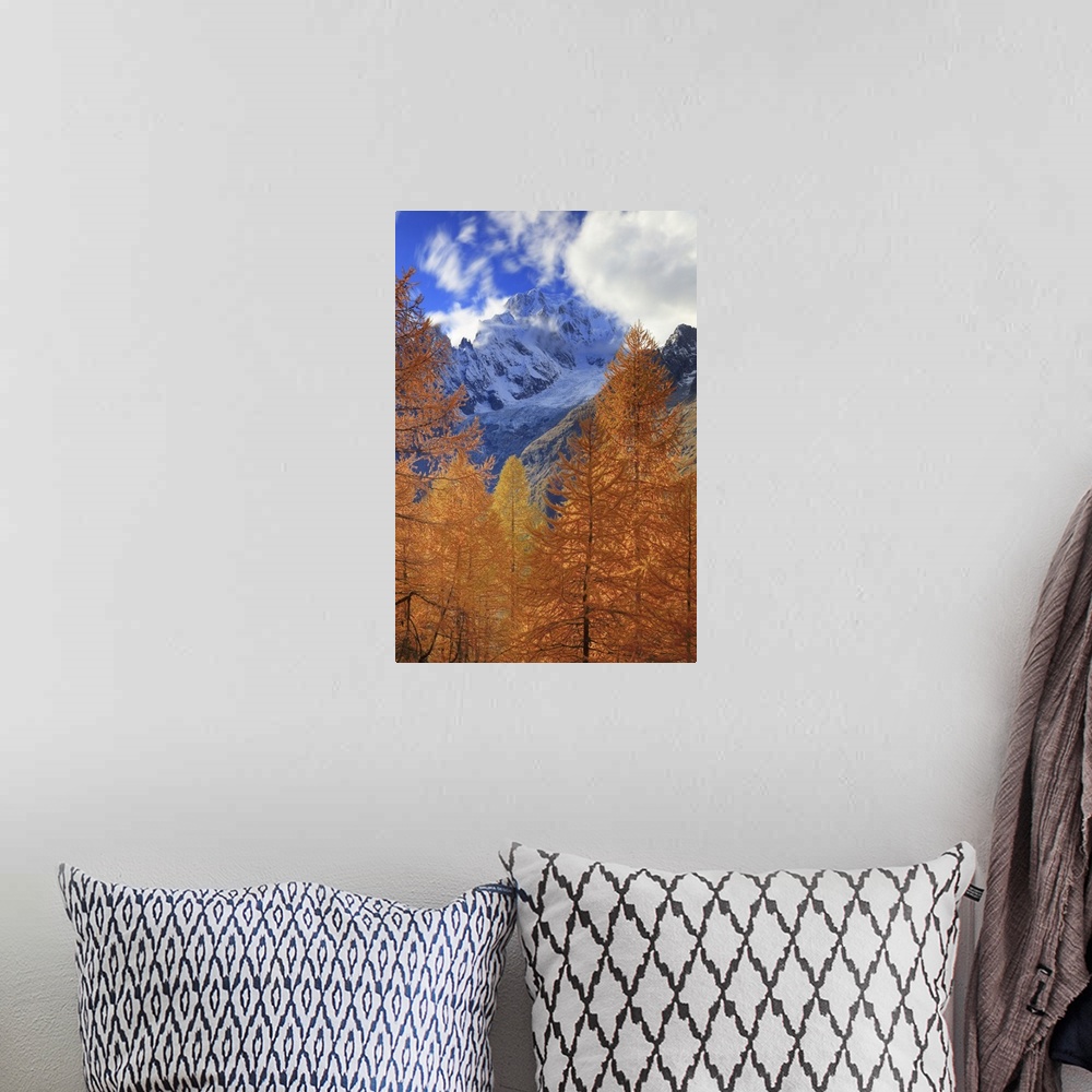 A bohemian room featuring Italy, Aosta Valley, Aosta district, Courmayeur, Val Ferret, Alps, Mont Blanc Mountain (4810m), A...