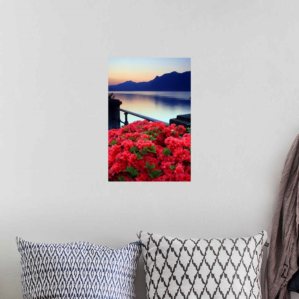 A bohemian room featuring Italy, Piedmont, Lake Maggiore, Verbania, dawn, Azalea flowering on the lakefront