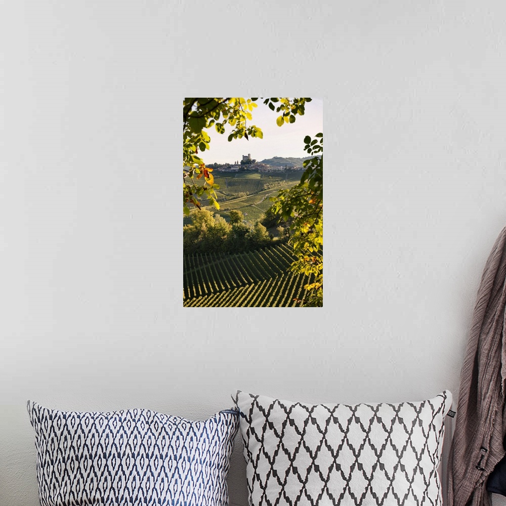 A bohemian room featuring Italy, Piedmont, Cuneo district, Langhe, Serralunga d'Alba, Landscape of vineyards hills and the ...