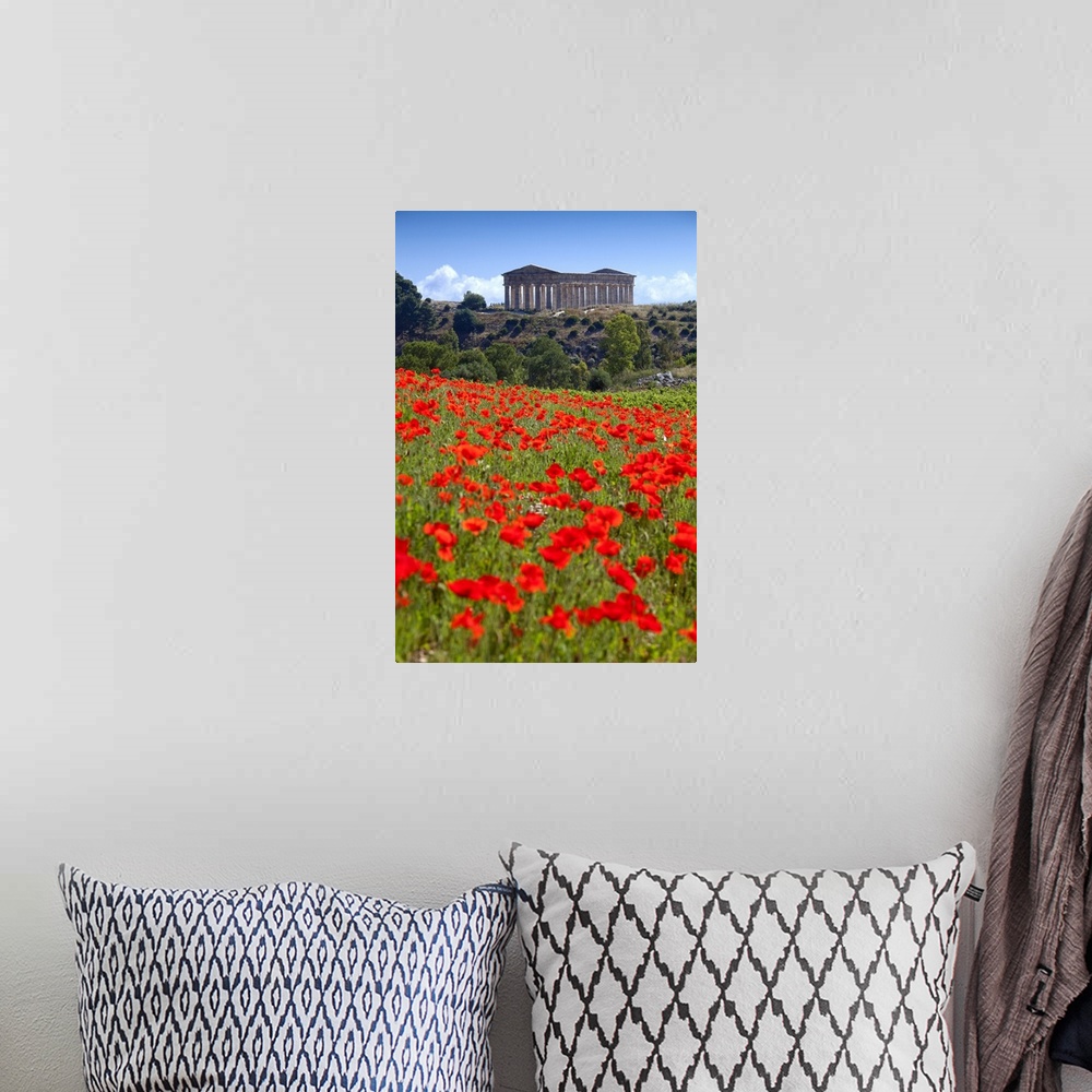 A bohemian room featuring Italy, Sicily, Segesta, Poppy meadow and Segesta temple