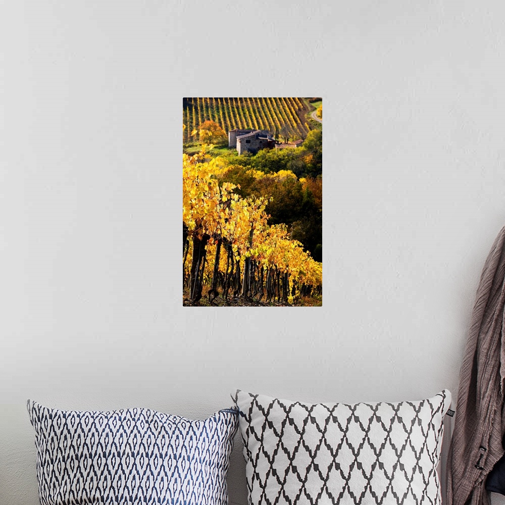 A bohemian room featuring Italy, Tuscany, Chianti, Greve in Chianti, vineyards