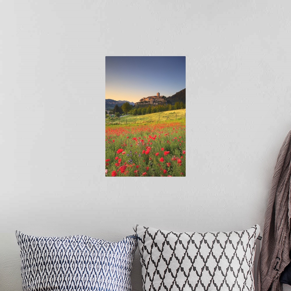 A bohemian room featuring Italy, Umbria, Terni district, Valnerina, Poppies on a field near Arrone village