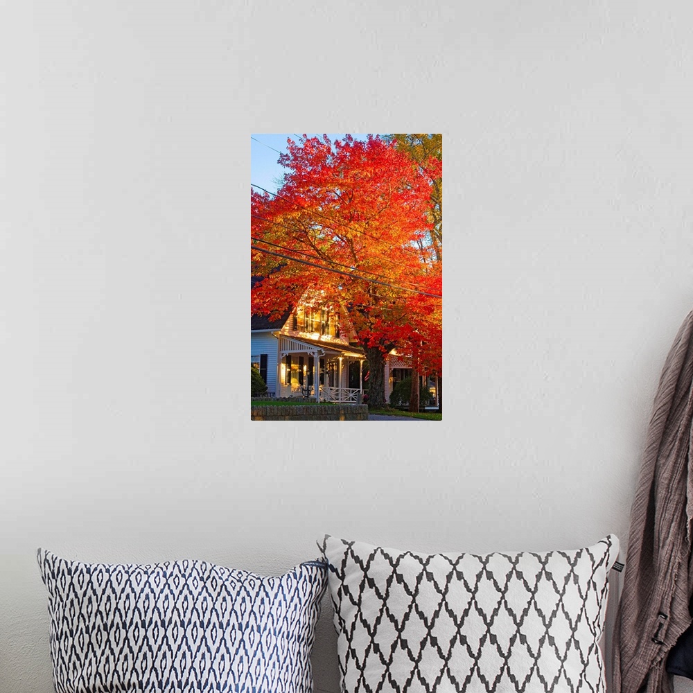 A bohemian room featuring Maine, Mount Desert Island, Autumn tree at Somesville