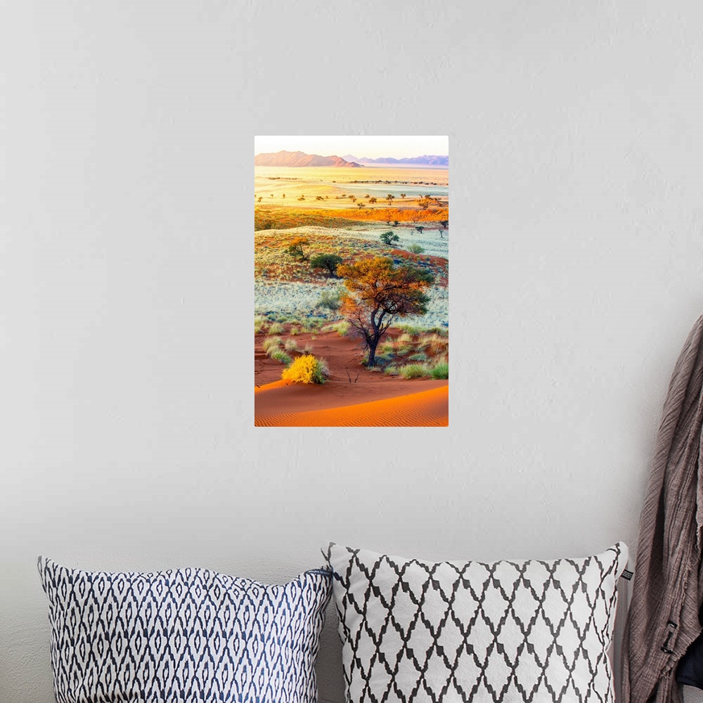 A bohemian room featuring Namibia, Hardap, Namib Desert, Namib-Naukluft National Park, Petrified dunes at sunset.
