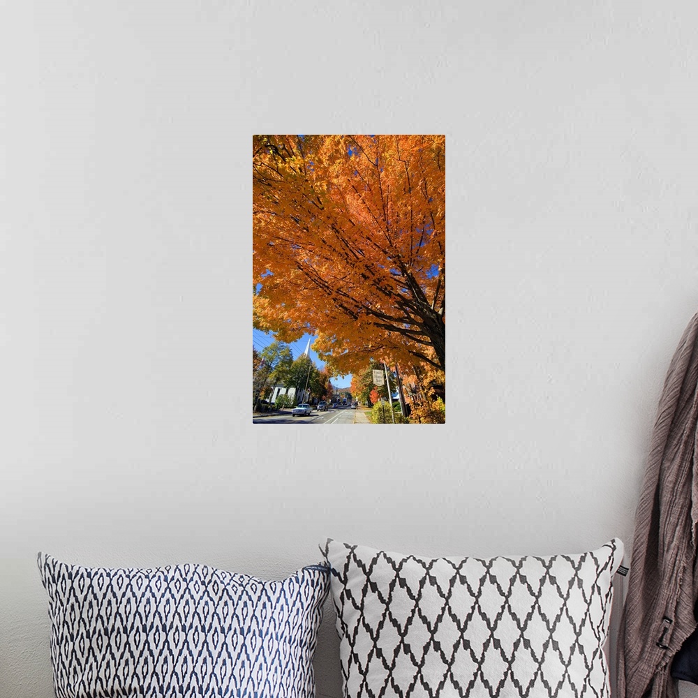 A bohemian room featuring New Hampshire, North Conway, White Mountains, The main road in autumn