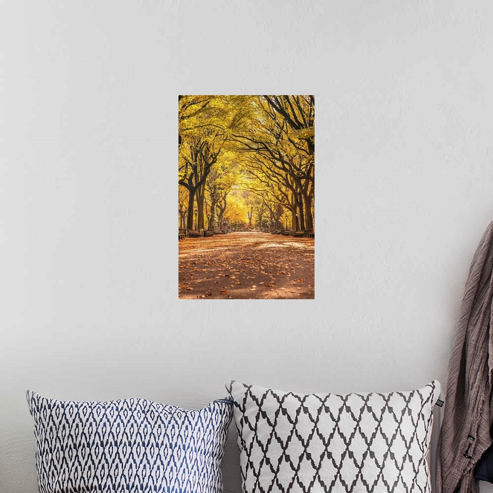 A bohemian room featuring New York, New York City, Central Park, Elm Tree lined walk