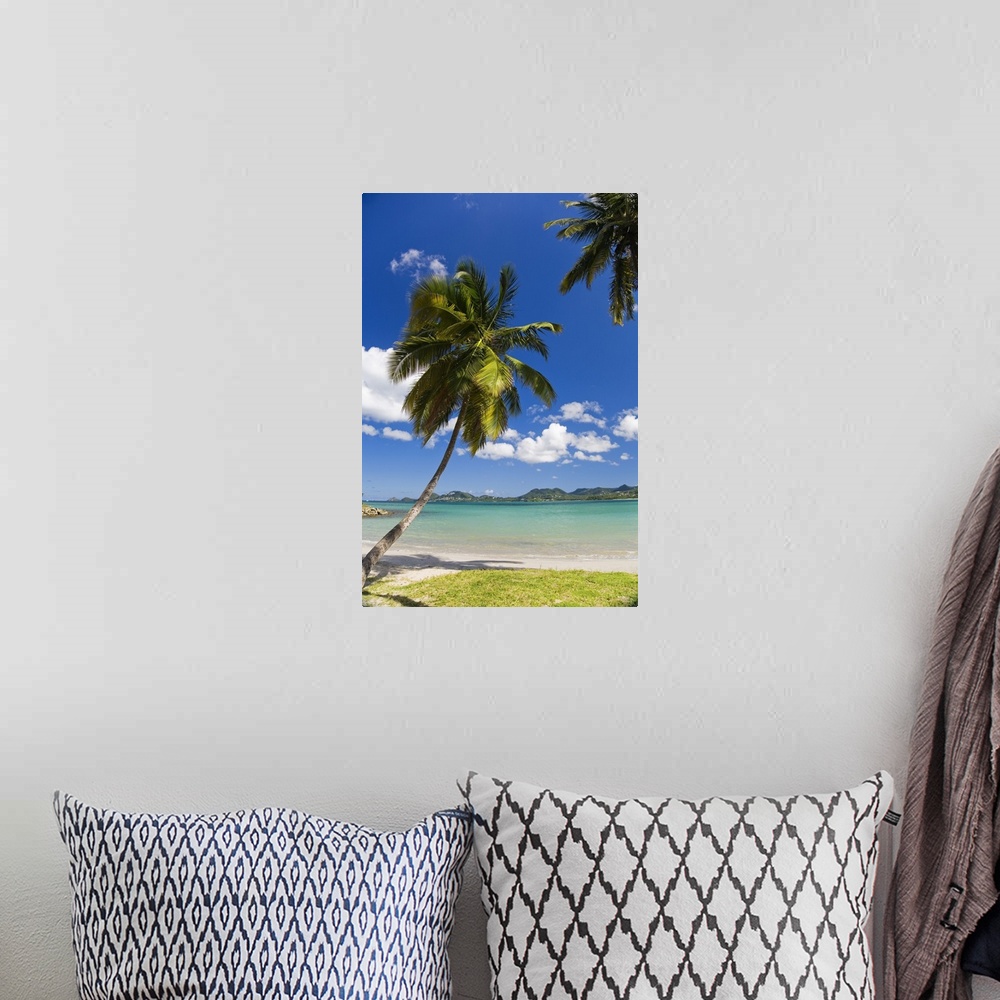 A bohemian room featuring Saint Lucia, Castries, Caribbean, Caribbean sea, Palm trees in Vigie Beach