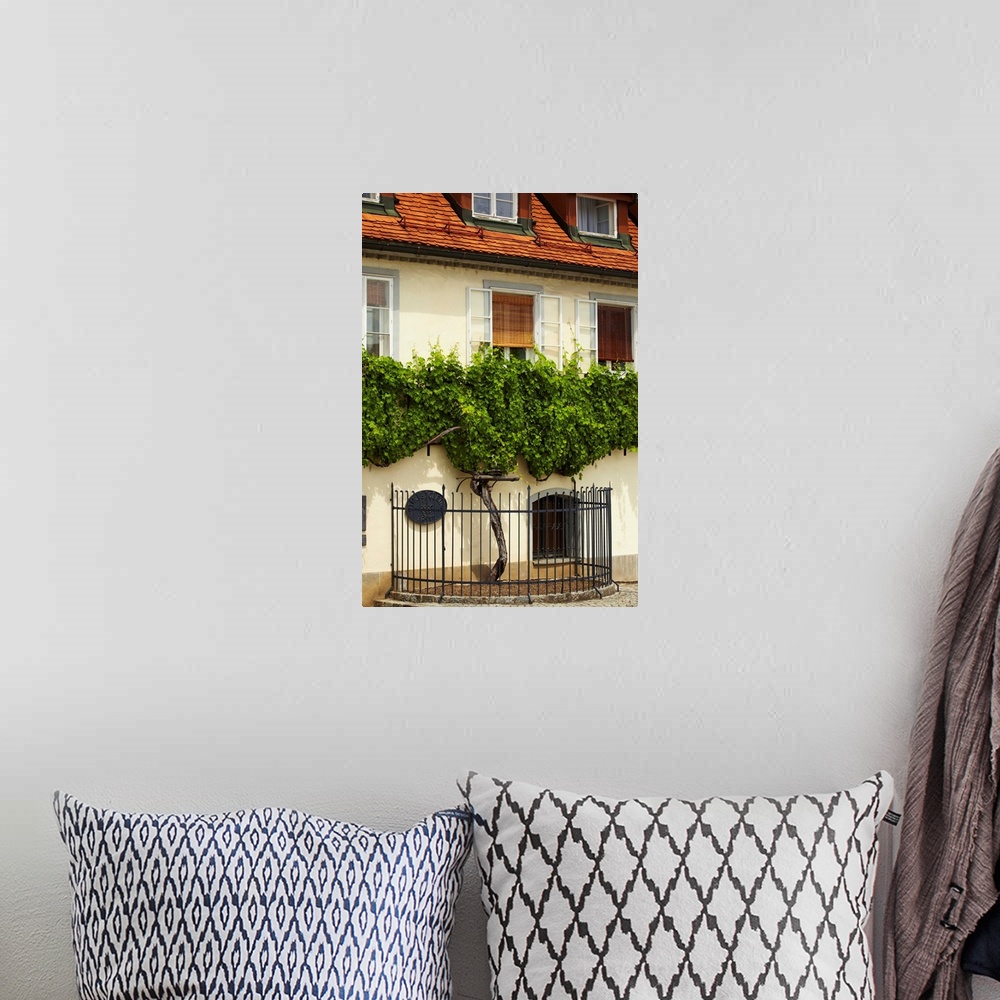 A bohemian room featuring Slovenia, Lower Styria, Maribor, Old Vine House famous for the worlds oldest grapevine, approx 40...
