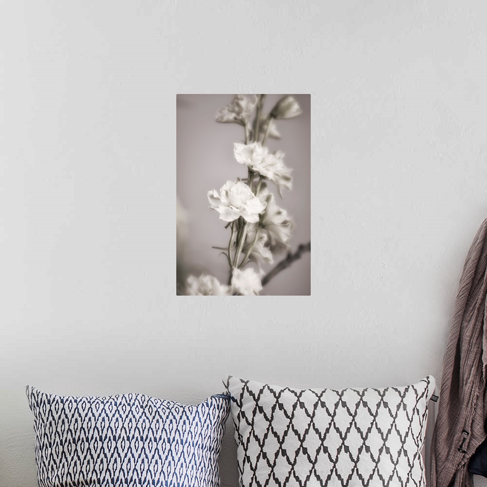 A bohemian room featuring Fine art photograph of a vine of white flowers and buds with a shallow depth of field.