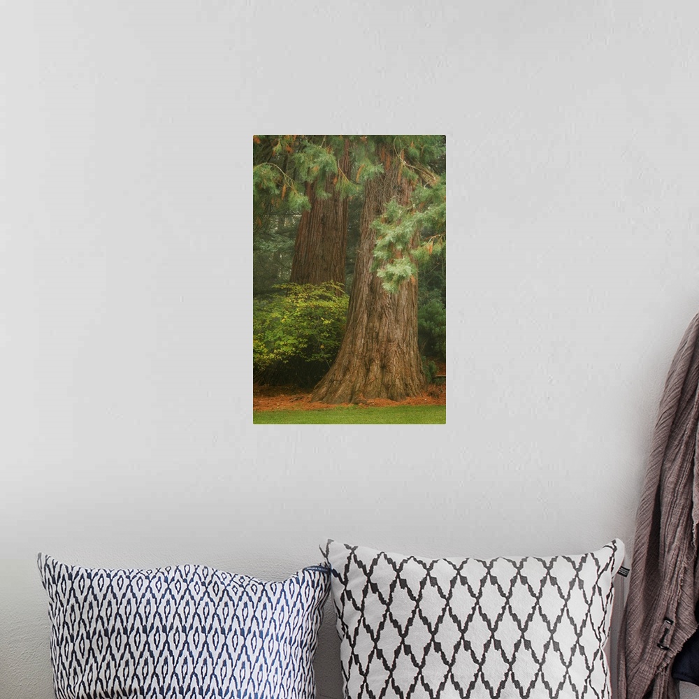 A bohemian room featuring Ancient Forest I
